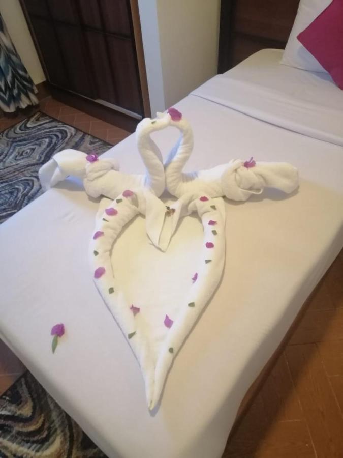 Dolphin Hotel El Qoseir Dış mekan fotoğraf